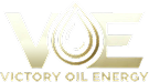 Voe logo